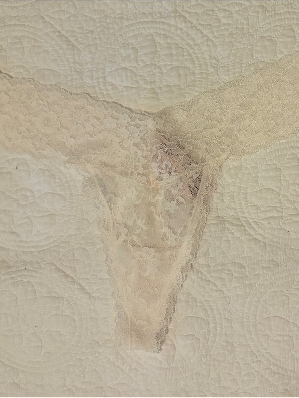H&M Sheer Floral Lace Thong - Beige